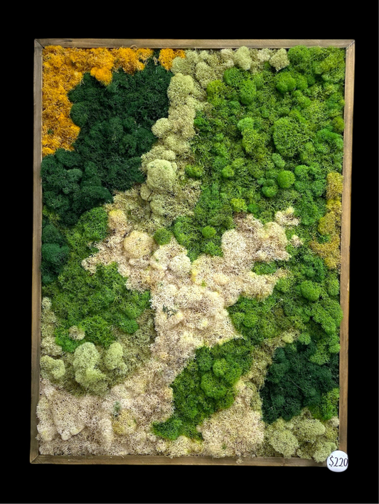 Untitled Study (28x21”) LOCAL ONLY