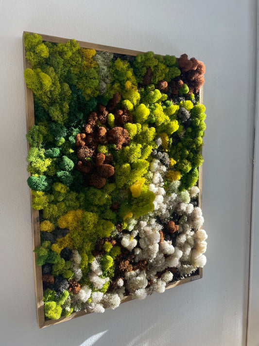 Untitled Study 2 (28x21”)