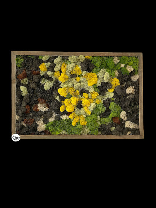 Orcas 3 (24x16) LOCAL ONLY