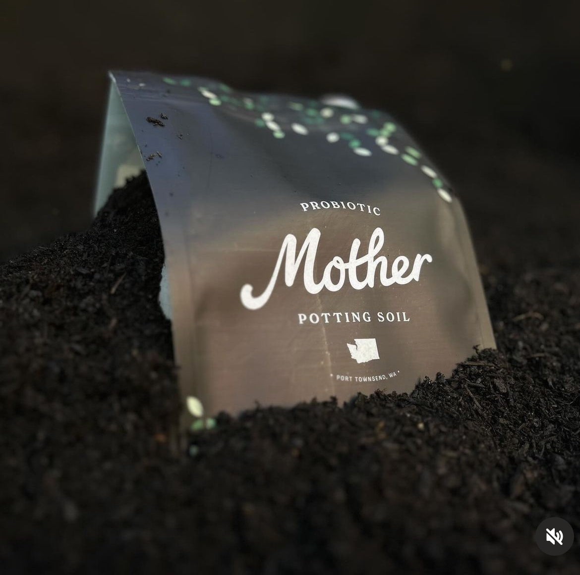 Mother probiotic soil 3qt