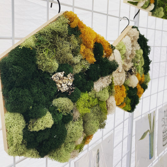 Moss Art Class (U-District)