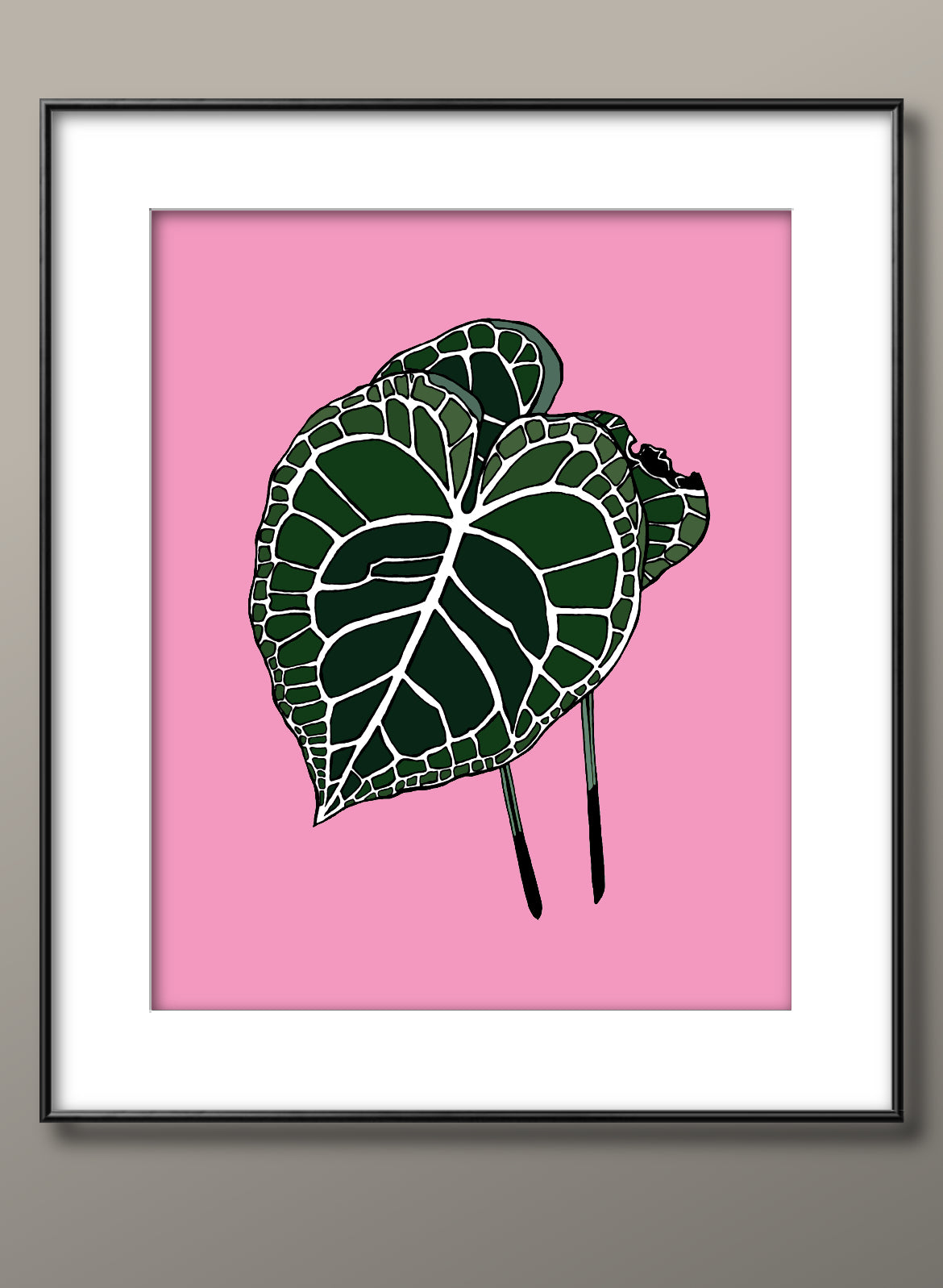anthurium print Anthurium clarinervium print (v2)