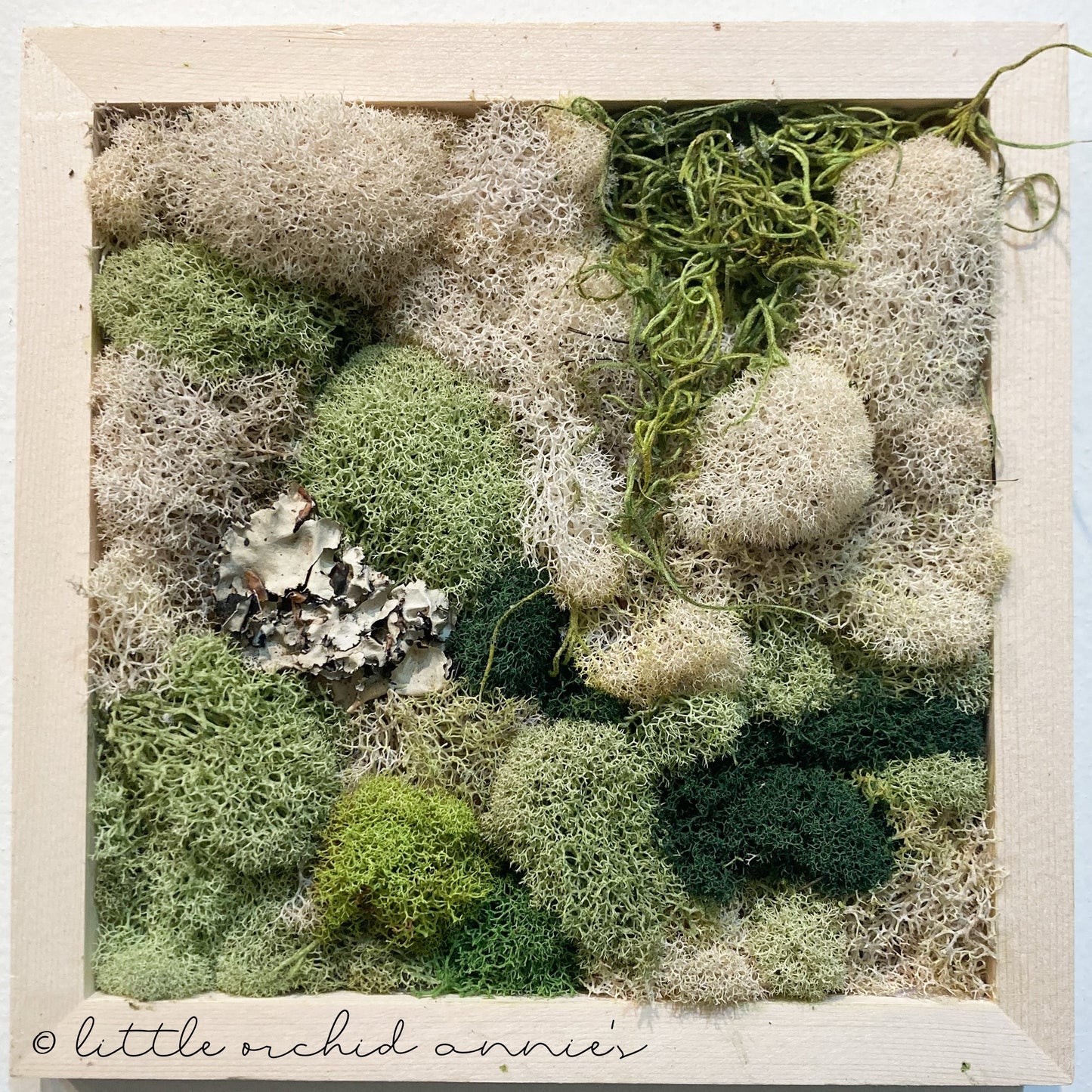 Moss Art Class (U-District)