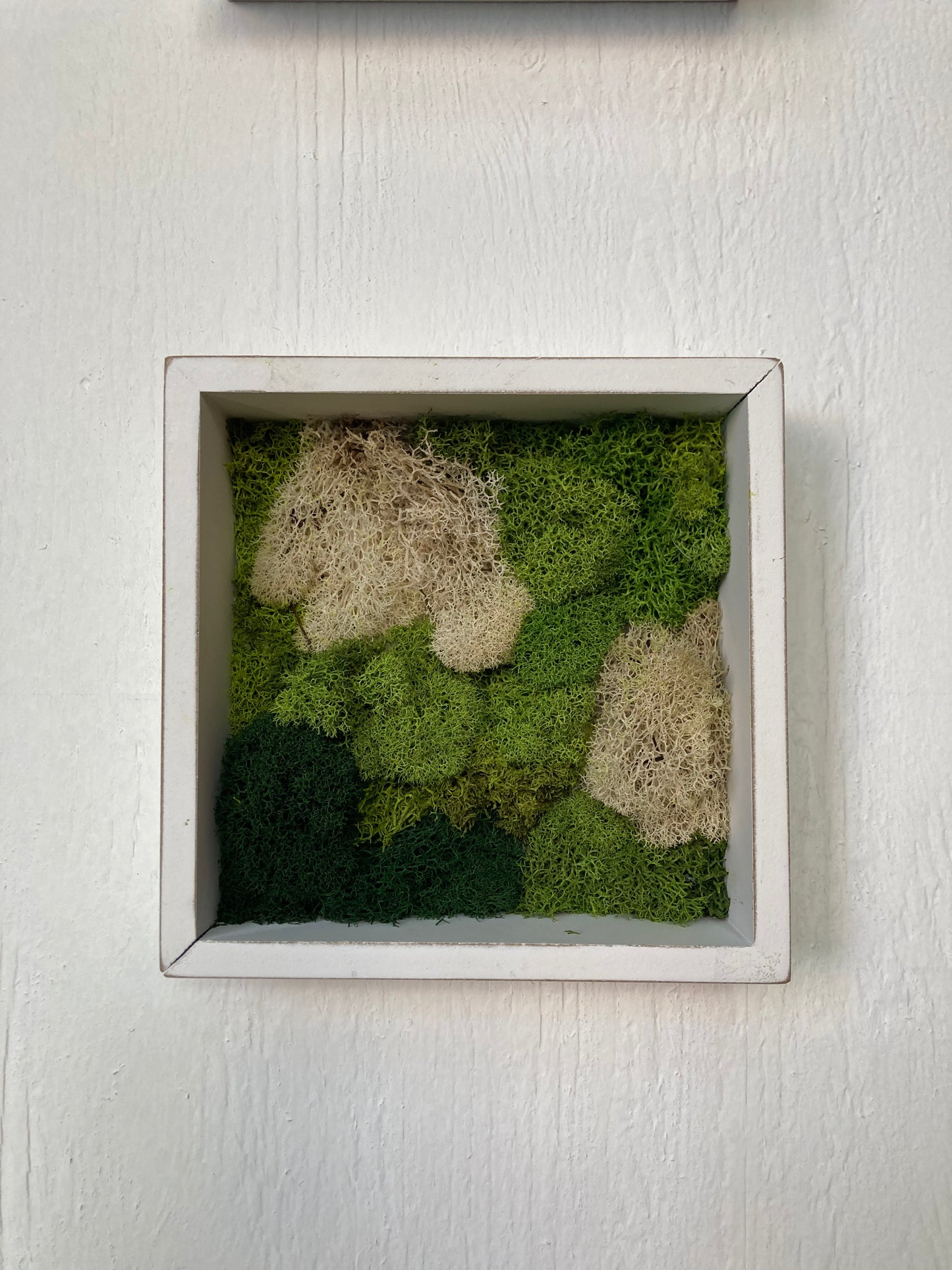 Window 2 (6in)
