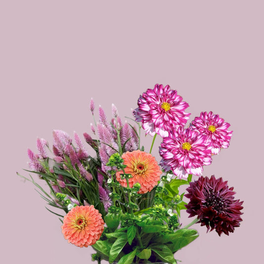 Easy Summer Bouquet seed collection