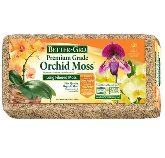 Orchid Moss