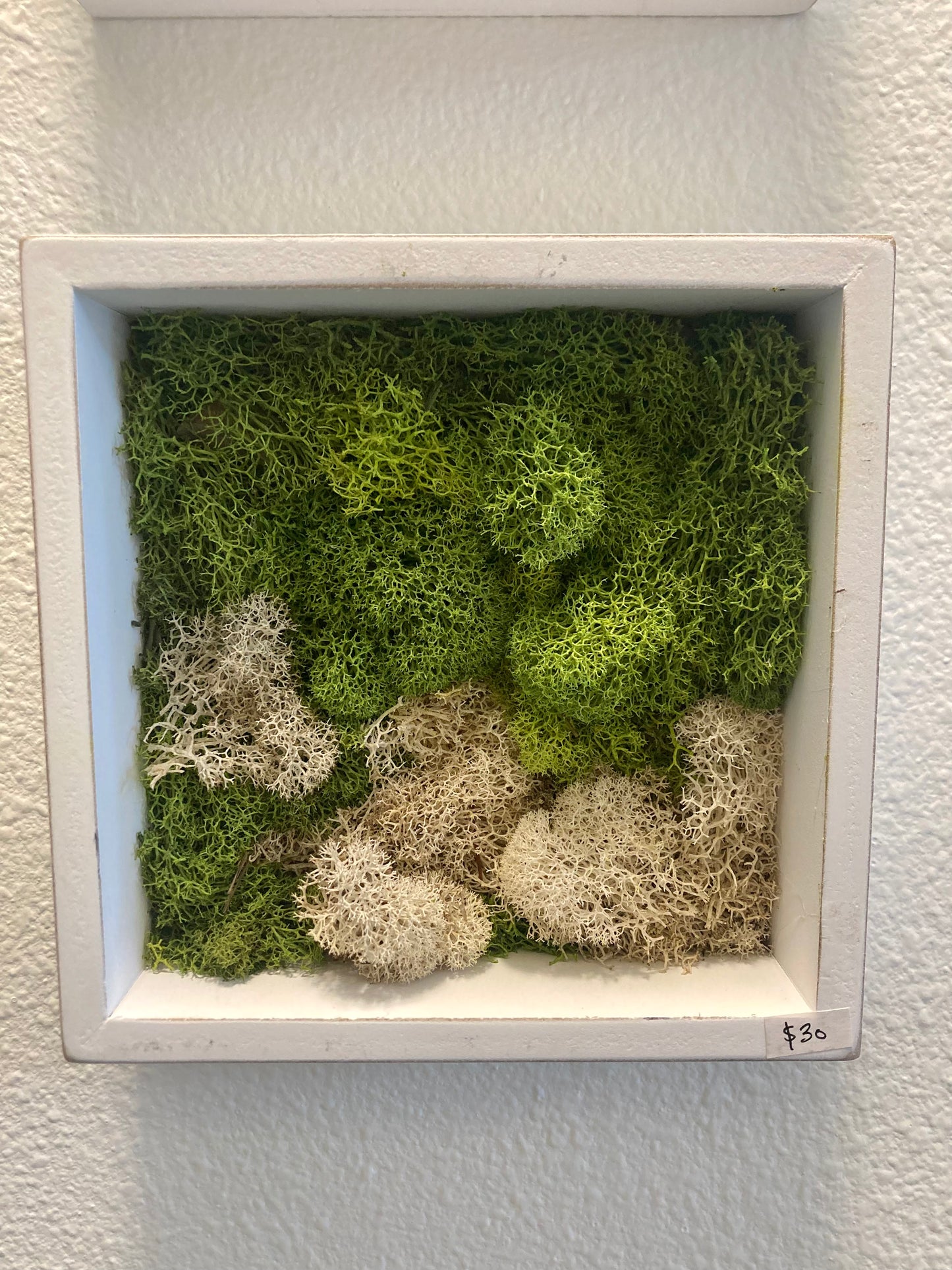 Window 1 (6in)