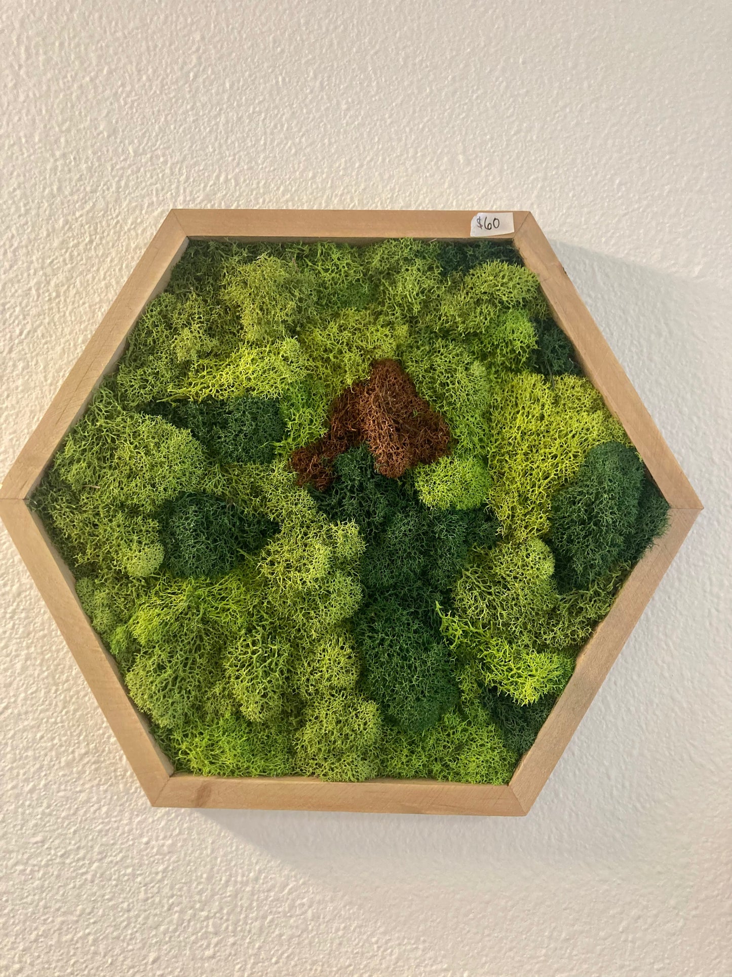 Hex 3 (10in)