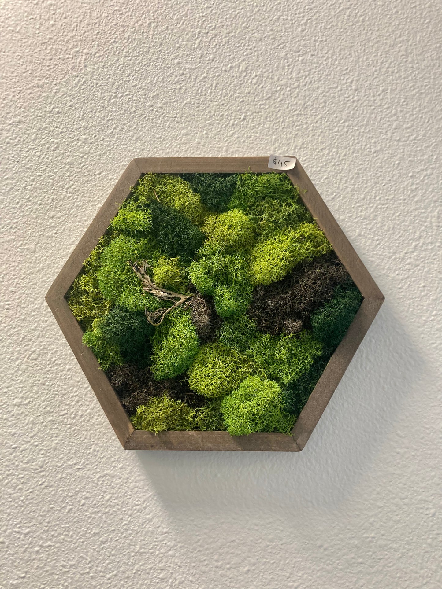 Hex 4 (8in)