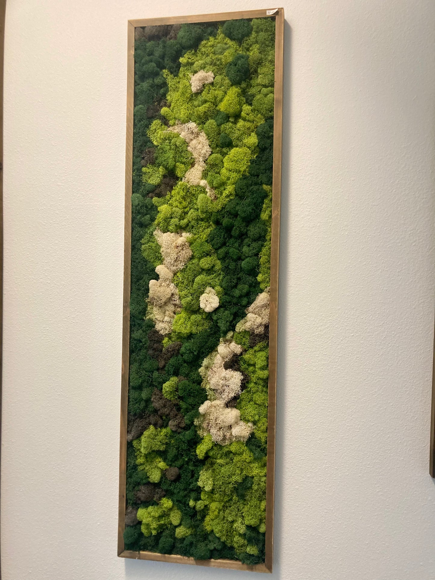 Mountain Study 1 (14x48in)