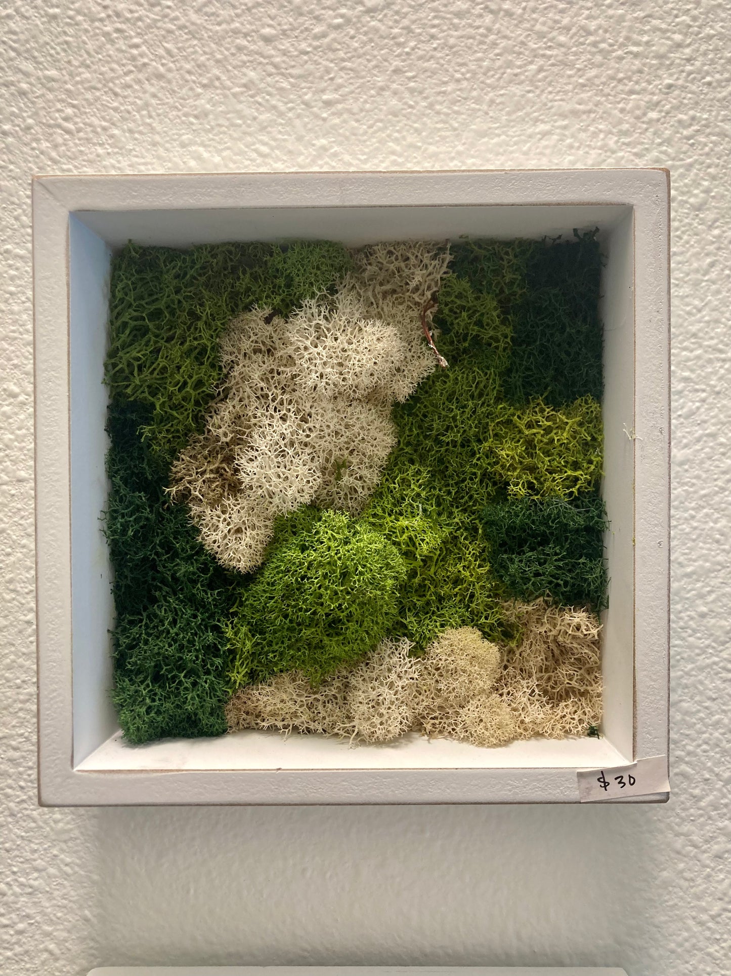 Window 3 (6in)
