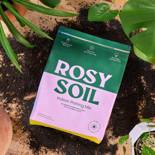Rosy houseplant soil 8qt