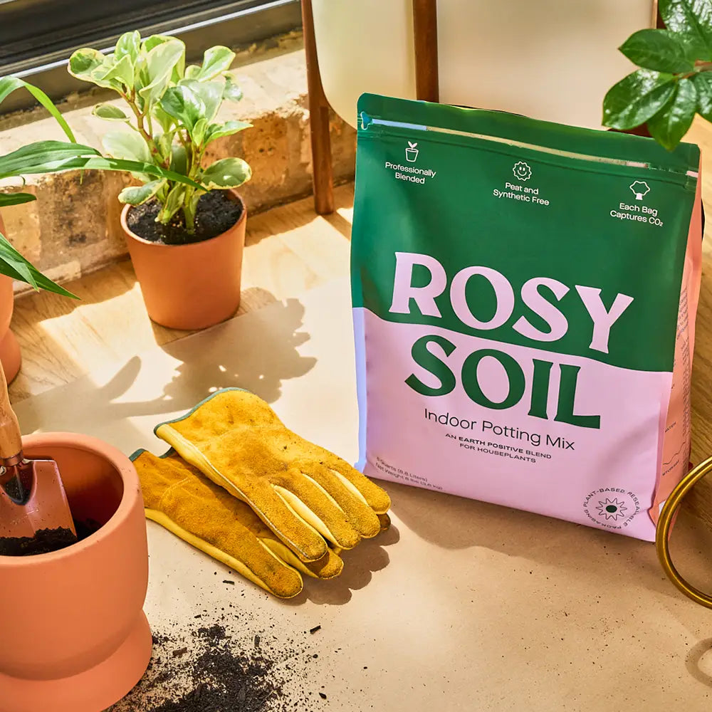 Rosy houseplant soil 8qt
