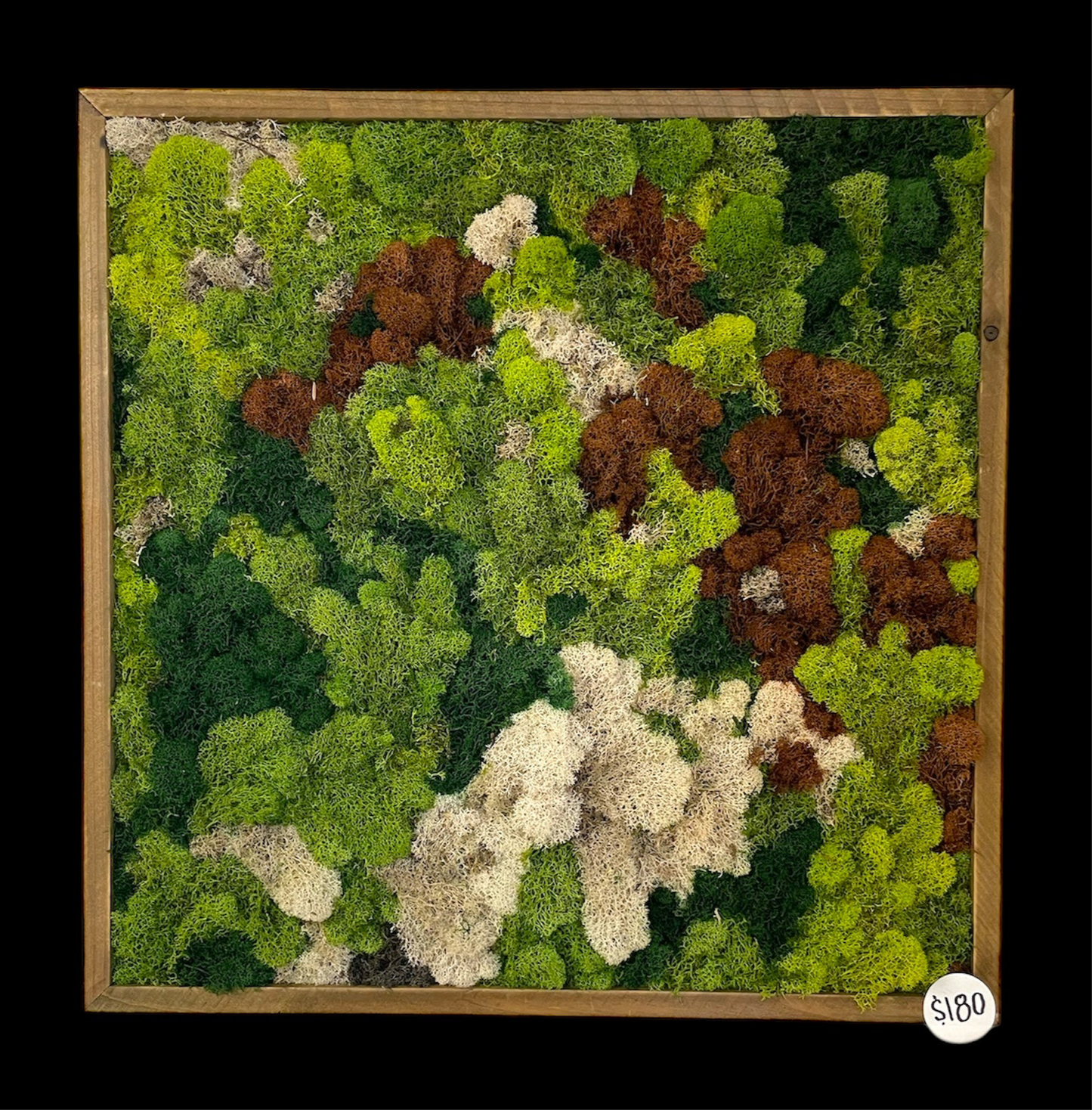 Forest Study 1 (20x20)