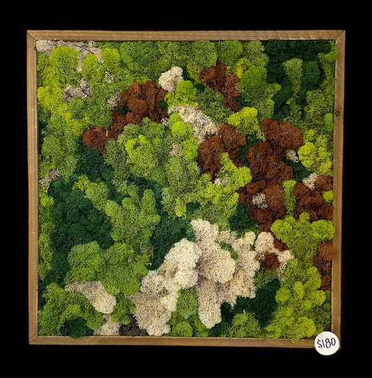 Forest Study 1 (20x20)