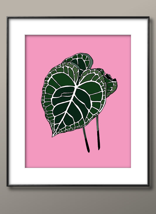 Anthurium clarinervium print (v2)