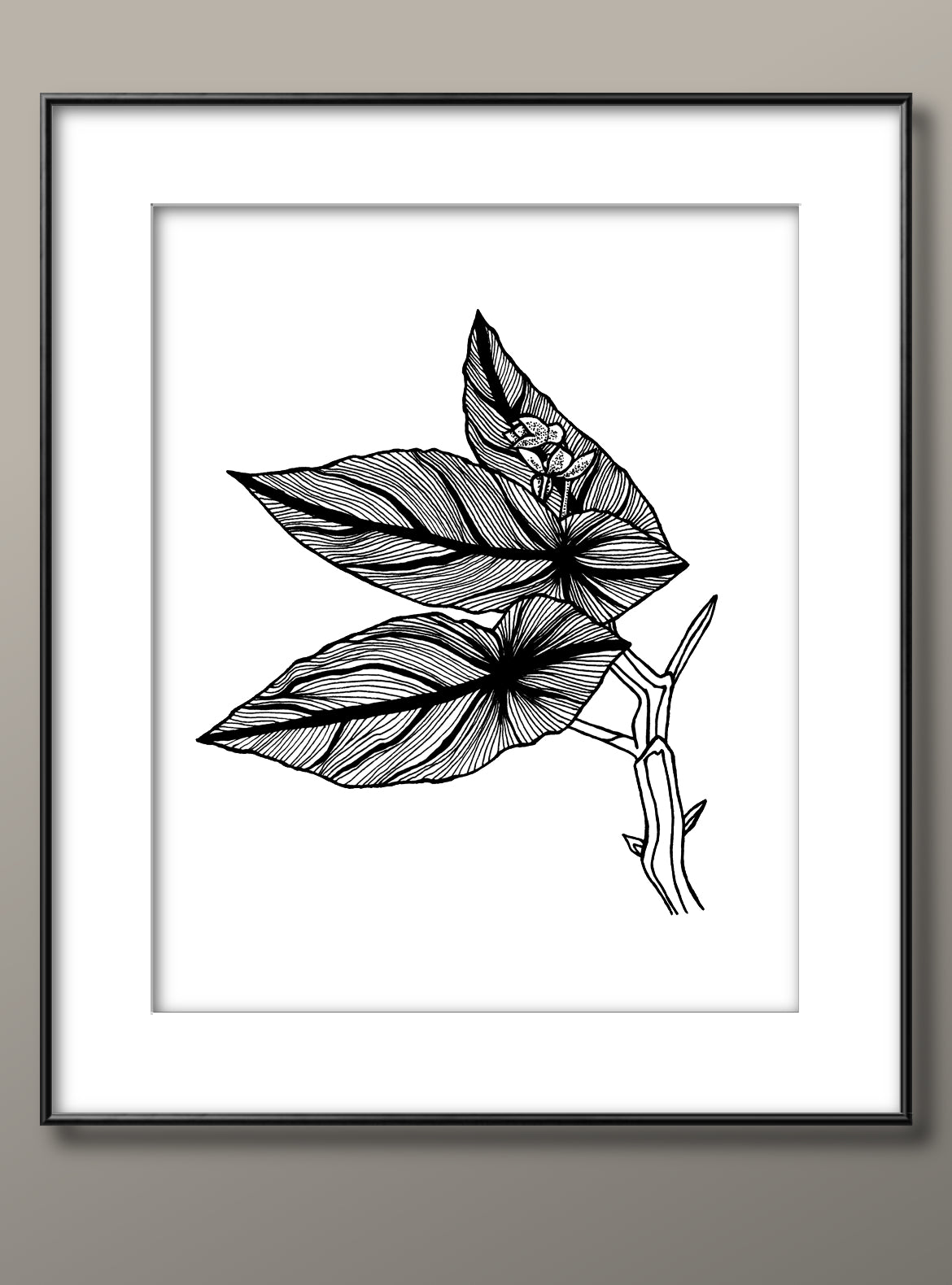 Begonia B&W Print