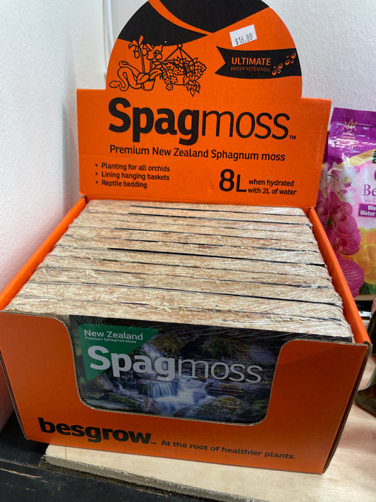New Zealand Sphagnum Moss