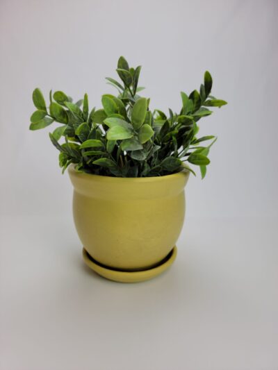 Flare pot yellow 6in