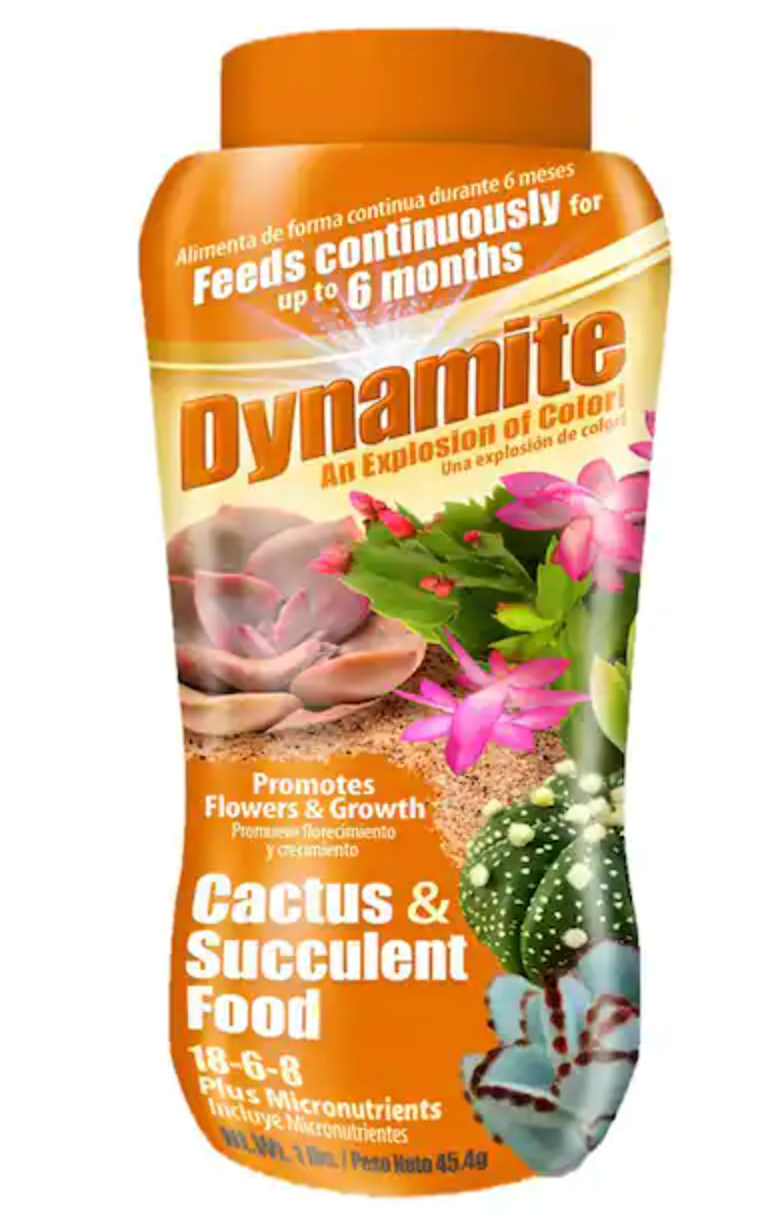 dynamite plant fertilizer Dynamite Cactus and Succulent Slow-Release Fertilizer (18-6-8) –  littleorchidannie